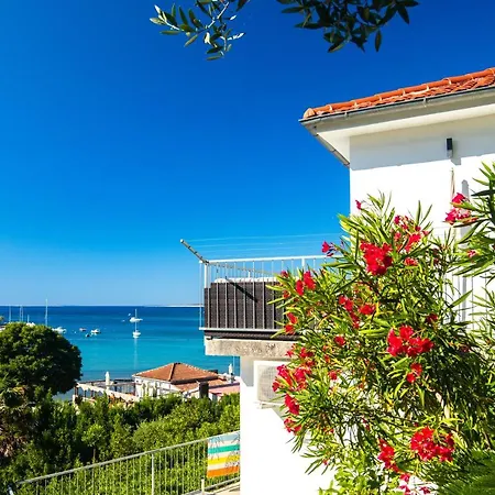 Apartment Ana Portapisana